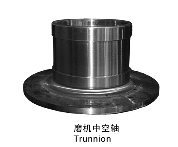 Trunnion