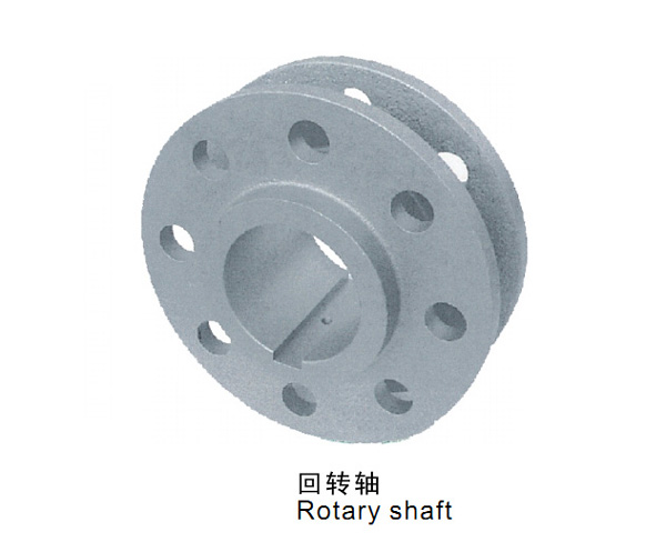 Rotary shaft